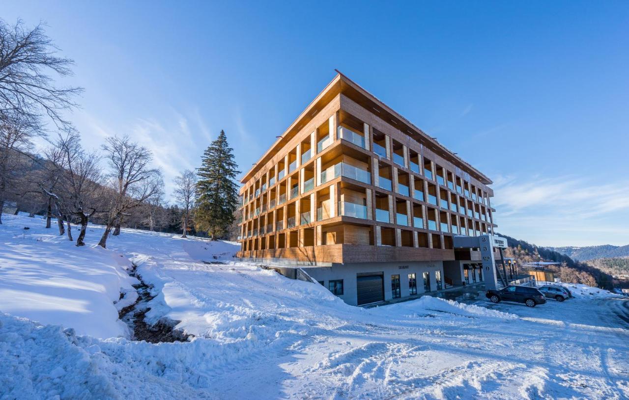 The Valley Bakuriani Exterior photo